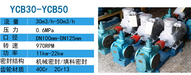 YCB-30圓弧磁力油泵