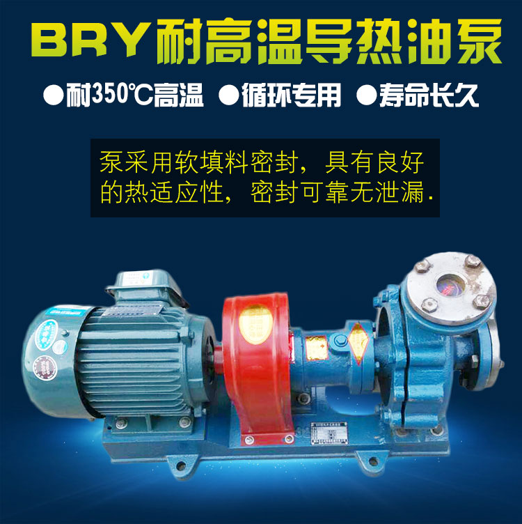 BRY高溫熱油泵 BRY高溫熱油泵