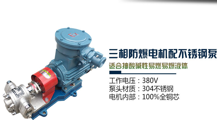 KCB不銹鋼齒輪油泵 KCB不銹鋼齒輪油泵