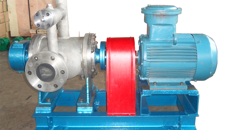 W不銹鋼鋼雙螺桿泵