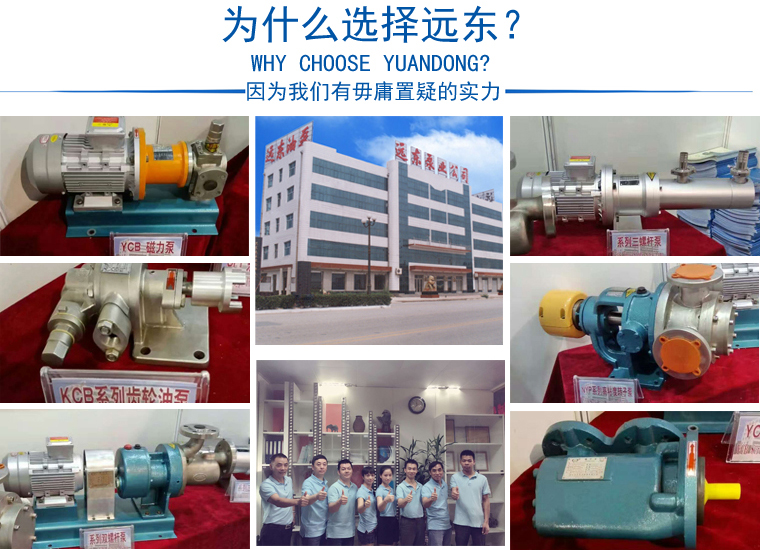 NYP110不銹鋼高粘度泵