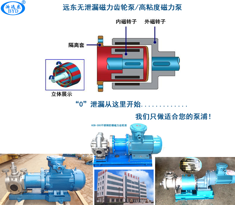 磁力齒輪油泵 磁力齒輪油泵