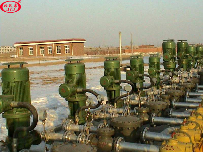 100GY25立式管道油泵 100GY25立式管道油泵