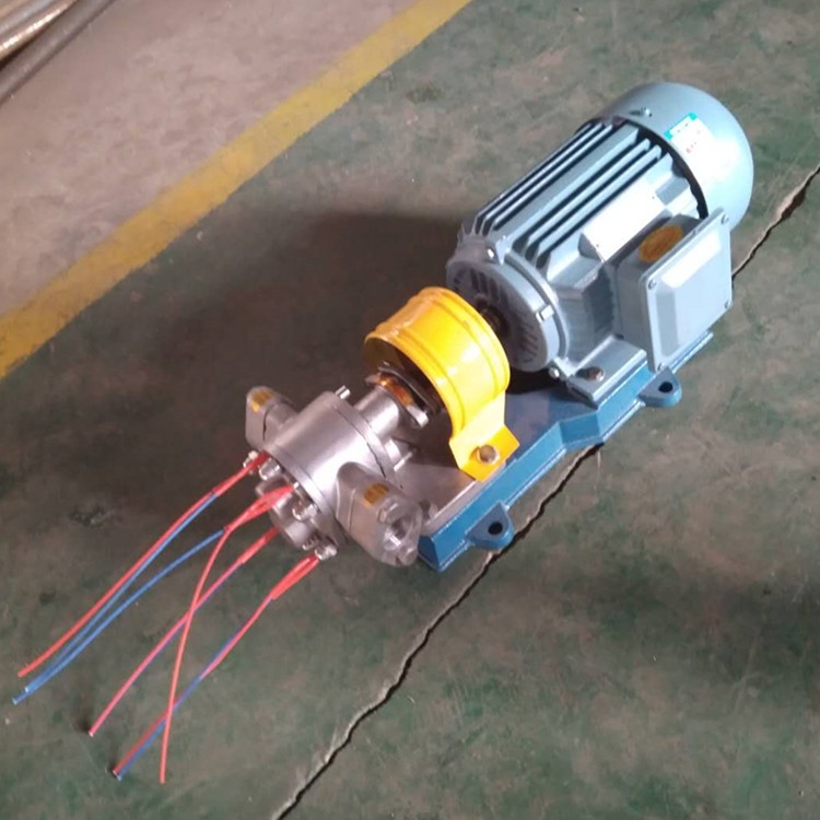 不銹鋼電加熱保溫齒輪泵 不銹鋼電加熱保溫齒輪泵