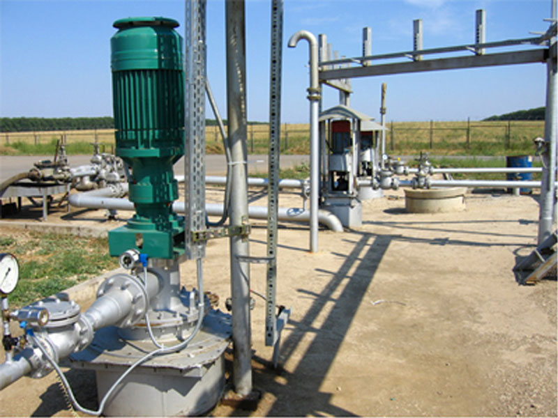 GU立式螺桿泵 GU立式螺桿泵