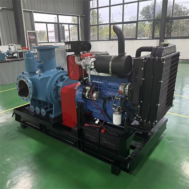 柴油機驅動雙螺桿泵