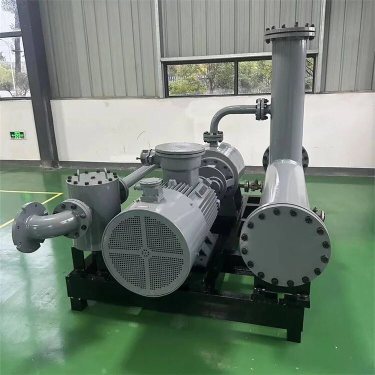 油氣混輸雙螺桿泵