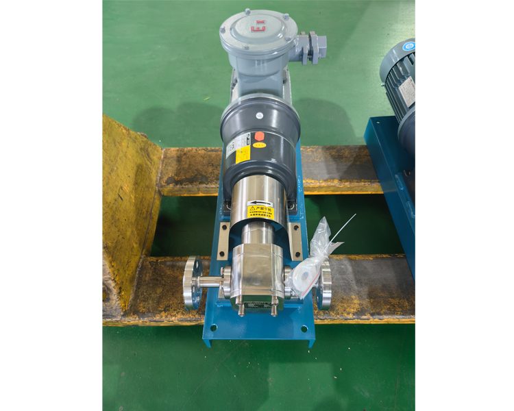 不銹鋼齒輪泵 不銹鋼齒輪泵