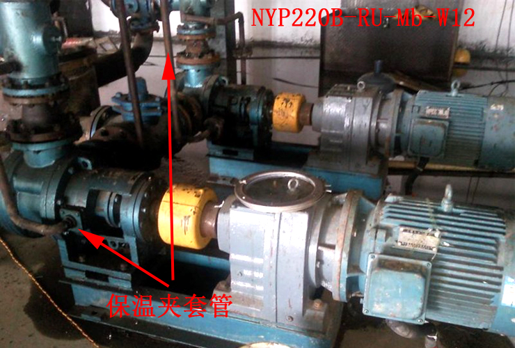 祝賀廣西金雨傘防水裝飾高粘保溫瀝青泵全部調(diào)試成功