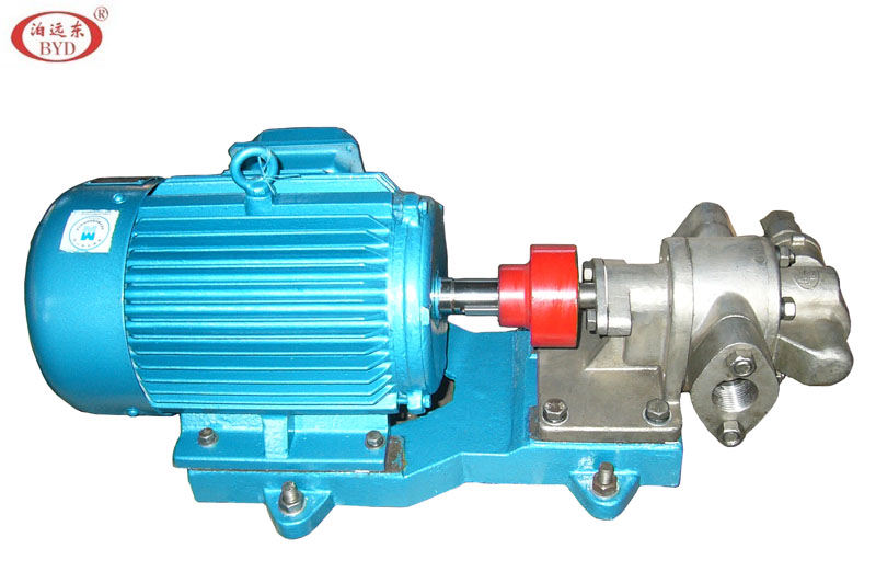 KCB55不銹鋼齒輪油泵 KCB55不銹鋼齒輪油泵