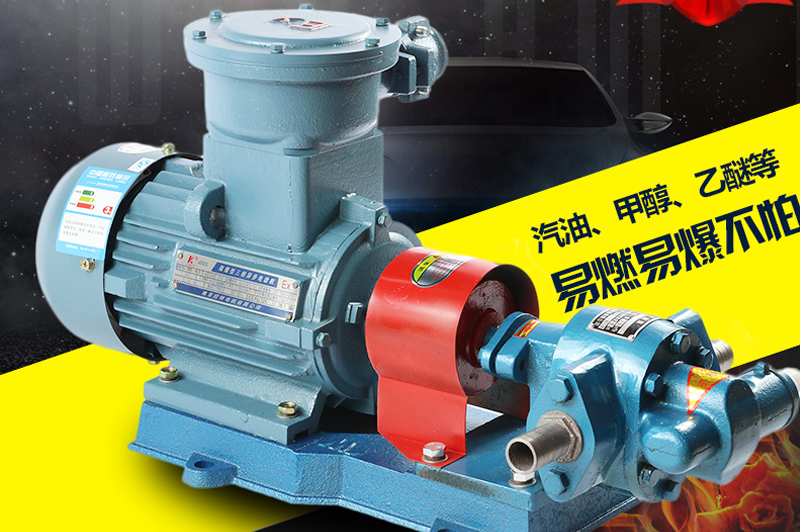 防爆齒輪式輸油泵 防爆齒輪式輸油泵